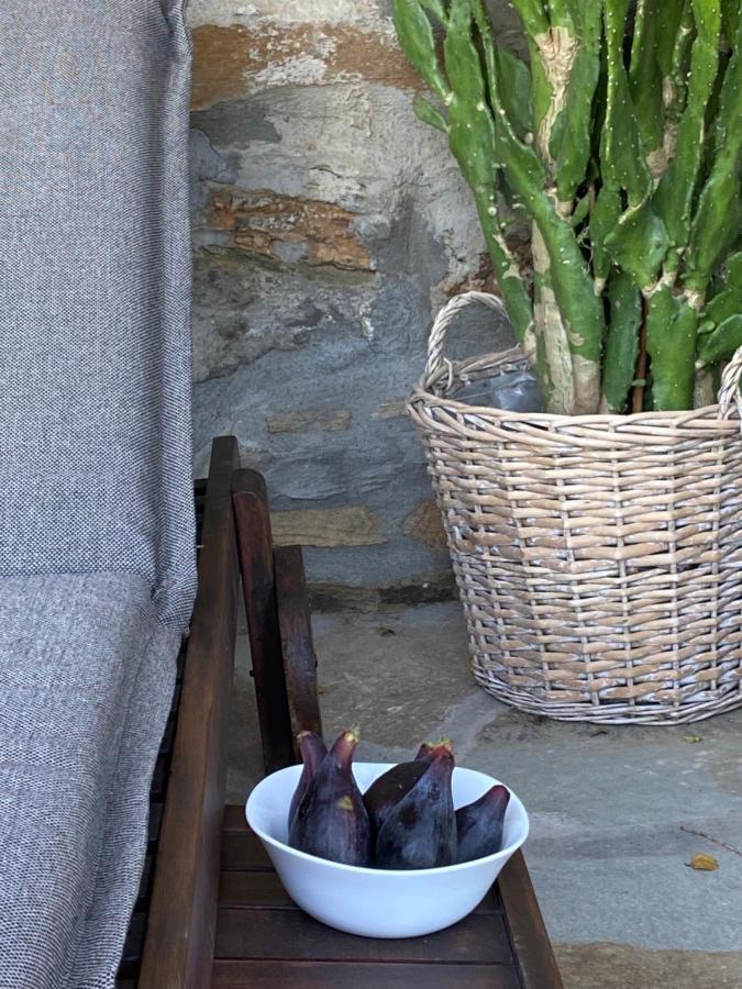 Gaia Vacation Home Agia Mavra エクステリア 写真