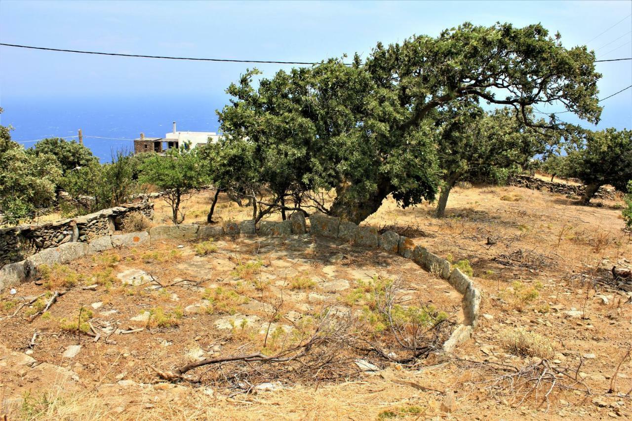 Gaia Vacation Home Agia Mavra エクステリア 写真